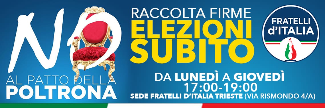 elezioni subito 2019